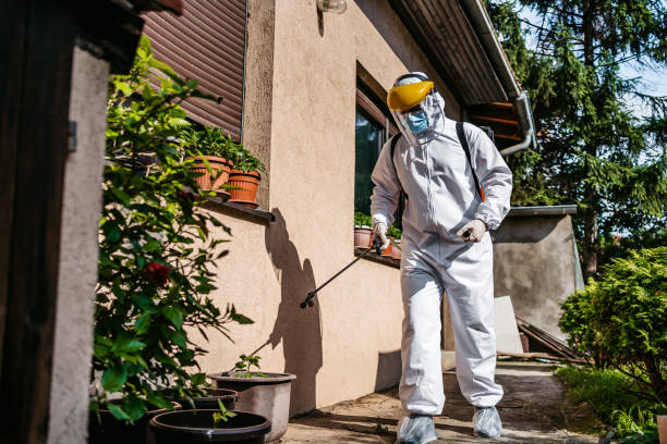 Best Affordable Pest Control Services  in Brownstown, PA