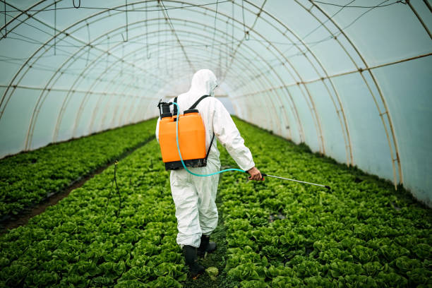 Best Best Pest Control Companies  in Brownstown, PA