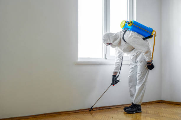 Best Flea Control Services  in Brownstown, PA