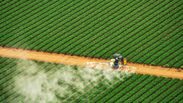 Best Pest Removal Services  in Brownstown, PA