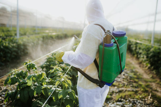 Best Pest Removal Services  in Brownstown, PA
